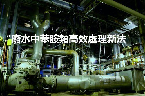 “廢水中苯胺類高效處理新法，環(huán)保先鋒引領(lǐng)綠色以后”